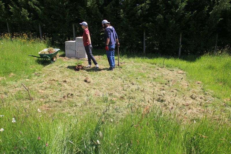 Premier coup de pioche pour creuser les fondations de notre abri de jardin