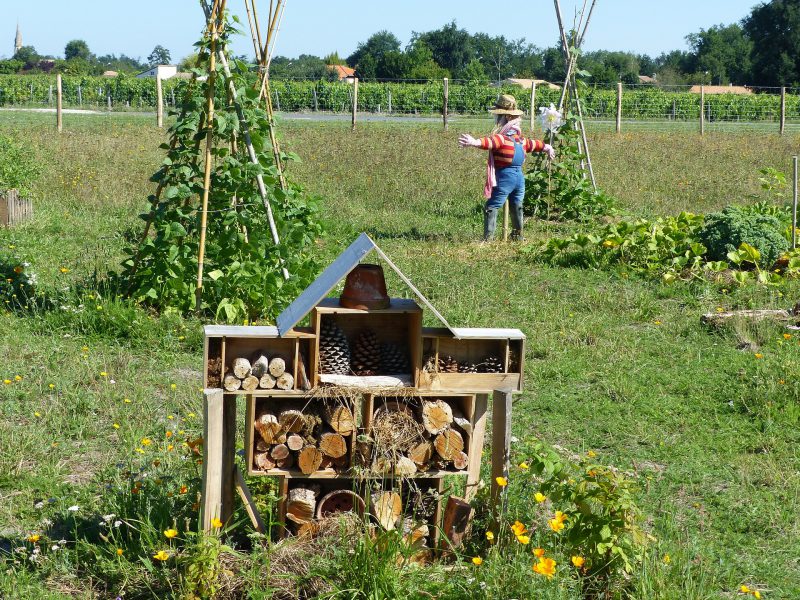 Jardin en permaculture