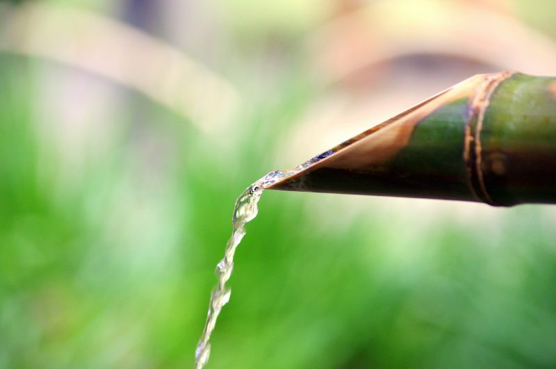 Irrigation avec du bambou