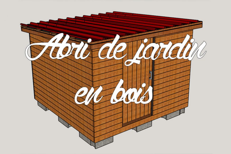 Abri de jardin en bois