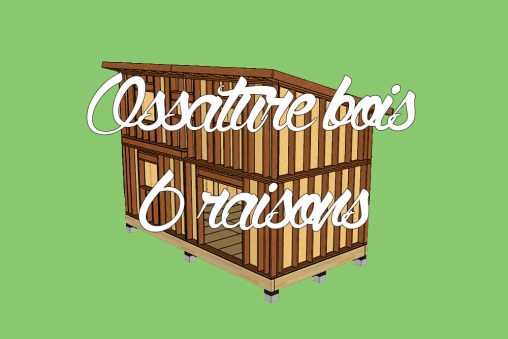 raisons de construire en ossature bois