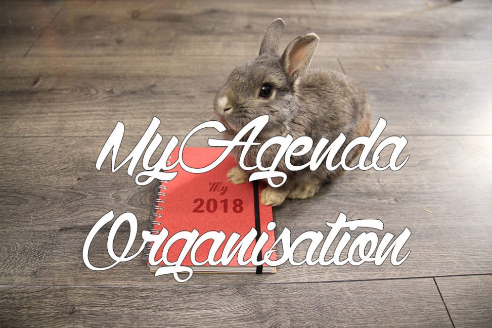 myagenda 2018 organisation