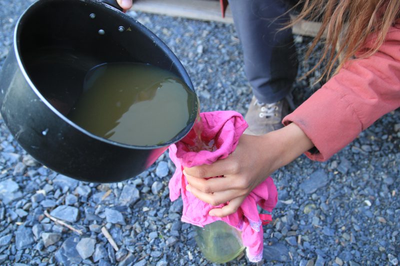 Filtration de la lessive au lierre