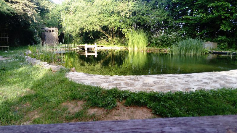Exemple de bassin naturelle réussi Exemple de bassin naturelle réussi