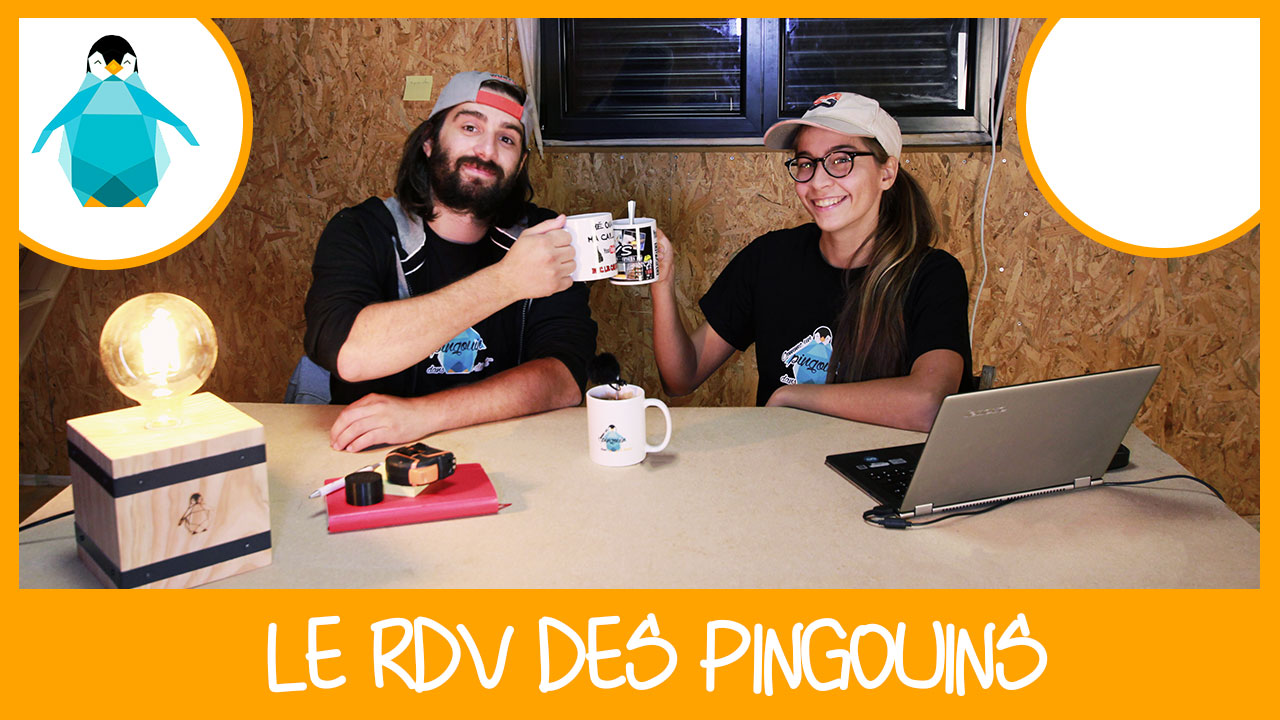 Comme Un Pingouin Dans Le Desert Le RDV des Pingouins | Comme un pingouin dans le désert