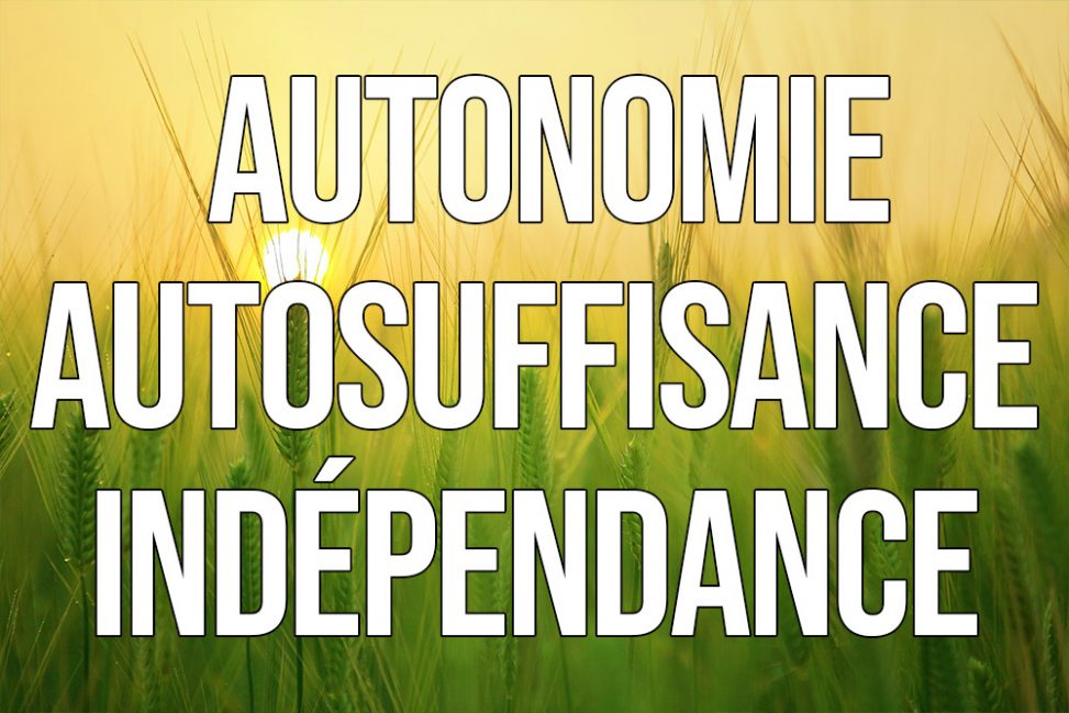 Autonomie ou Autosuffisance ou Indépendance