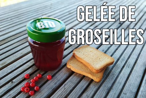 Gelée de groseilles recette