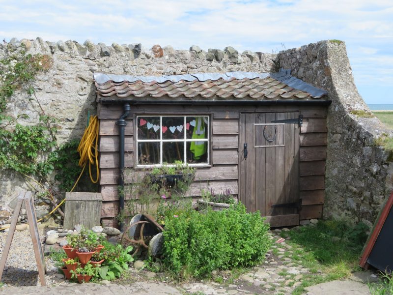 Abri au fond du jardin