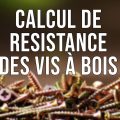 Calcul de résistance des vis à bois