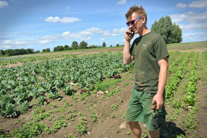 Les AMAP permettent d'avoir un contact direct avec les agriculteurs