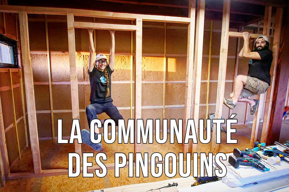 Comme Un Pingouin Dans Le Desert la-communauté-des-pingouins | Comme un pingouin dans le désert