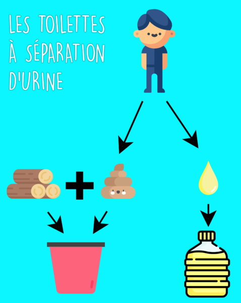 Principe de fonctionne des toilettes à séparation d'urine 