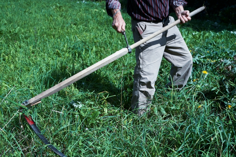 Faux manuelle pour tondre l'herbe 